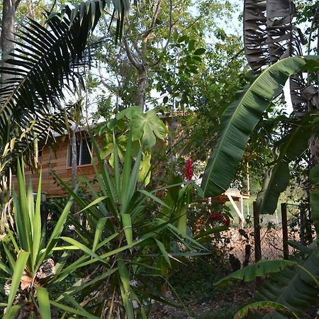 Fully Equipped 2 Bedroom Tree Top Cottage, With Large Balcony In Private Garden San Ignacio Exterior photo