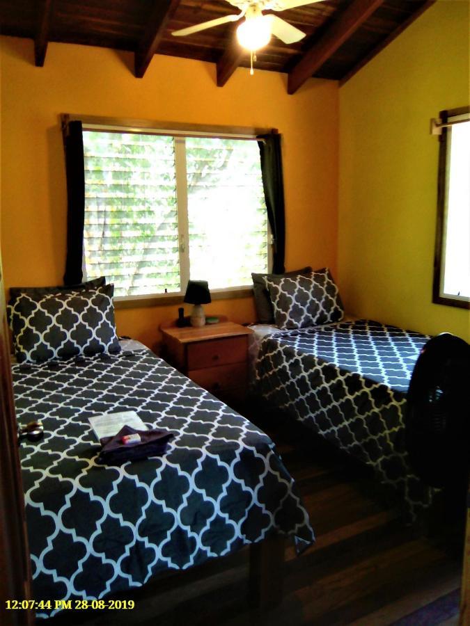 Fully Equipped 2 Bedroom Tree Top Cottage, With Large Balcony In Private Garden San Ignacio Exterior photo